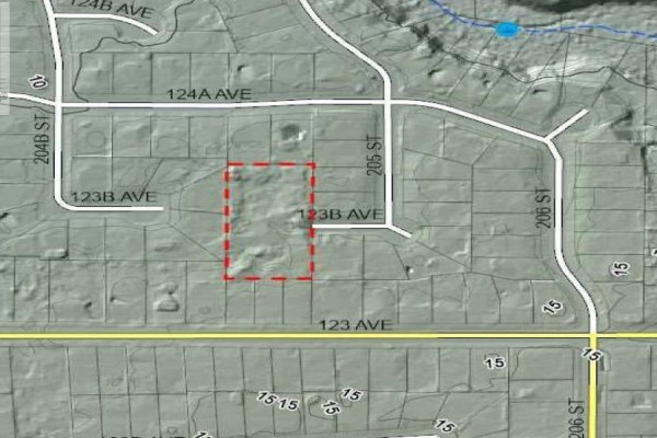20506 123b Avenue, Maple Ridge, BC V2X0L9 Photo 4