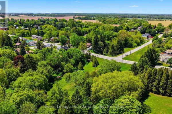 Aerial view looking down William Street, lined with trees and houses, towards distant fields. - 2057 William Street, Howick