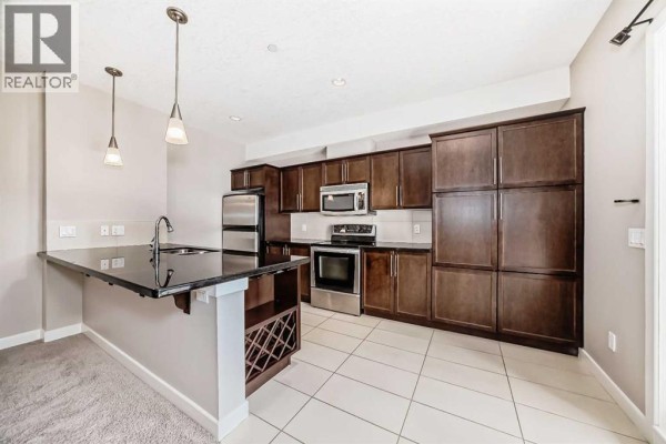 Other - 206, 488 7 Avenue Ne, Calgary, AB T2E0N2 Photo 4