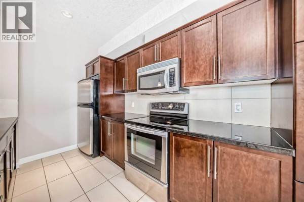 Laundry room - 206, 488 7 Avenue Ne, Calgary, AB T2E0N2 Photo 5