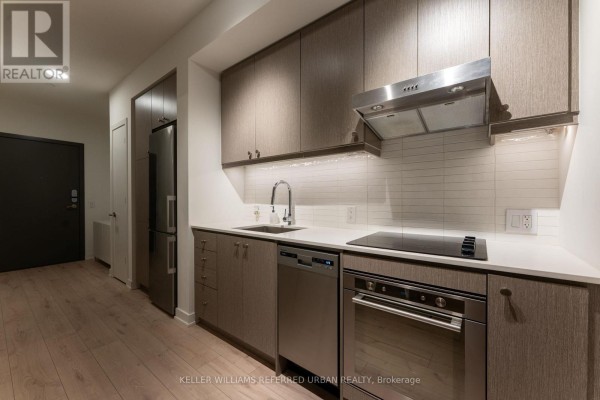 206 - 9 Tecumseth Street, Toronto, ON M5V0S5 Photo 5