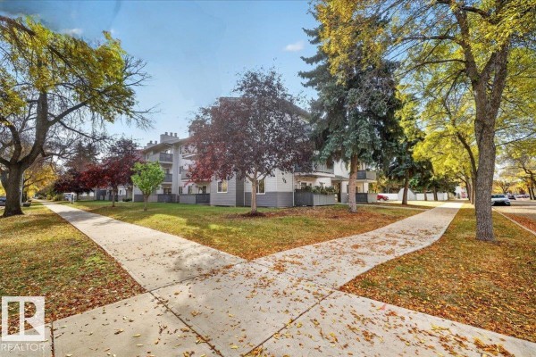Den - #206 10838 108 St Nw, Edmonton, AB T5H3A6 Photo 4