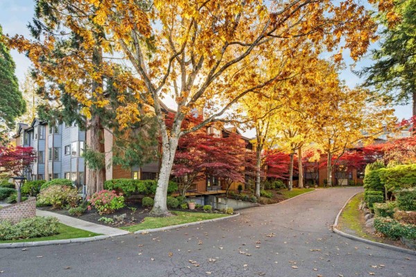 206 15300 17 Avenue, Surrey