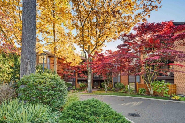206 15300 17 Avenue, Surrey, BC V4A8Y6 Photo 3