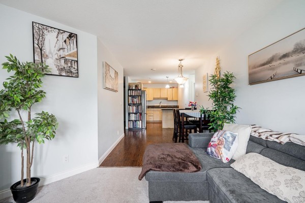 Living room with grey sofa, artwork, and plants with a view to the patio. - 206 19774 56 Avenue, Langley