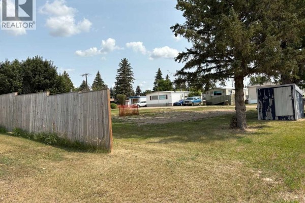 206 1st Avenue, Bassano, AB T0J0B0 Photo 4