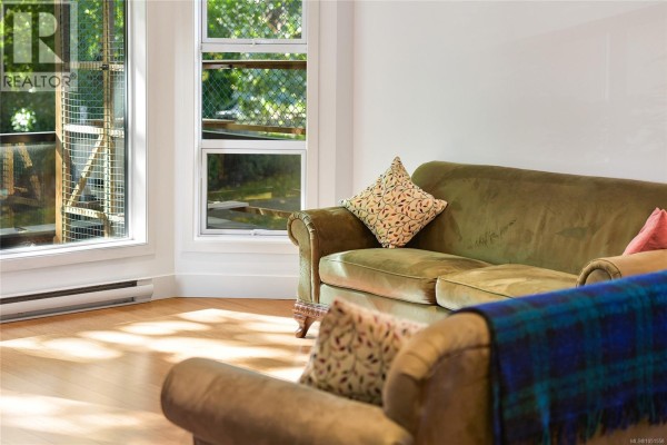 Close-up of a green sofa in a living room with large windows and hardwood floors. - 206 2589 Penrhyn St, Saanich
