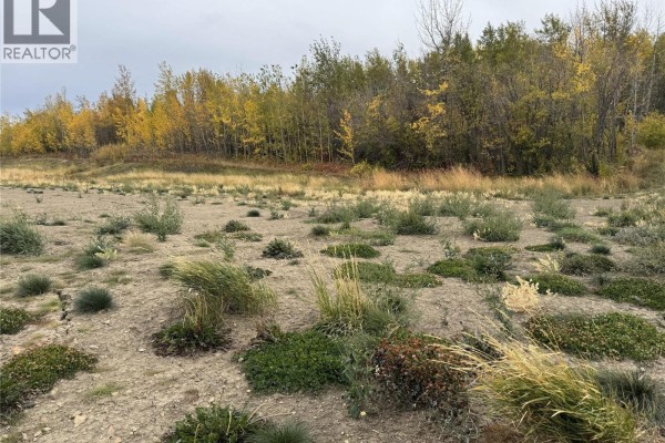 206 Road Lot# 3, Dawson Creek, BC V1G0C2 Photo 4