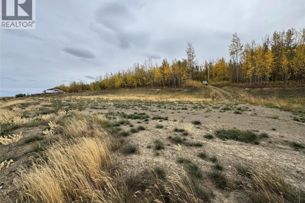 206 Road Lot# 4, Dawson Creek, BC, photo 3
