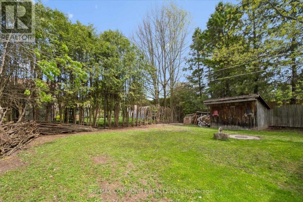 Backyard with wooden shed, woodpile, and bamboo trees - 2063 George Street Howick