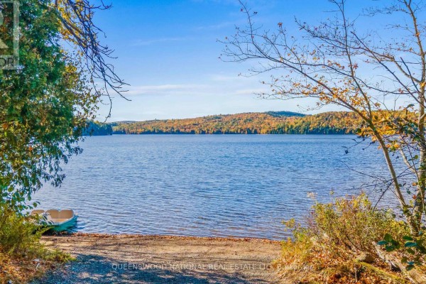 20683 60 Highway E, Madawaska Valley, ON K0J1B0 Photo 2