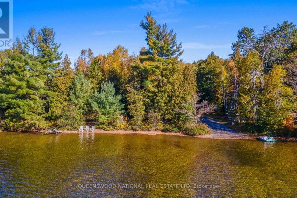 20683 60 Highway E, Madawaska Valley, ON K0J1B0 Photo 3