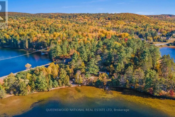 20683 60 Highway E, Madawaska Valley, ON K0J1B0 Photo 4