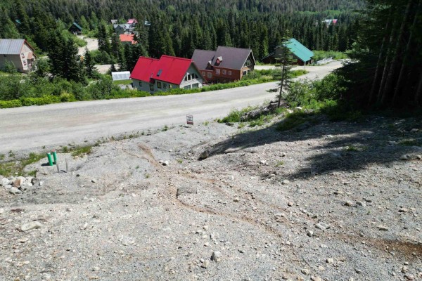 20689 Edelweiss Drive, Mission, BC V0M1A1 Photo 4