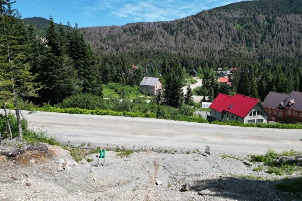 20689 Edelweiss Drive, Mission, BC V0M1A1 Photo 5