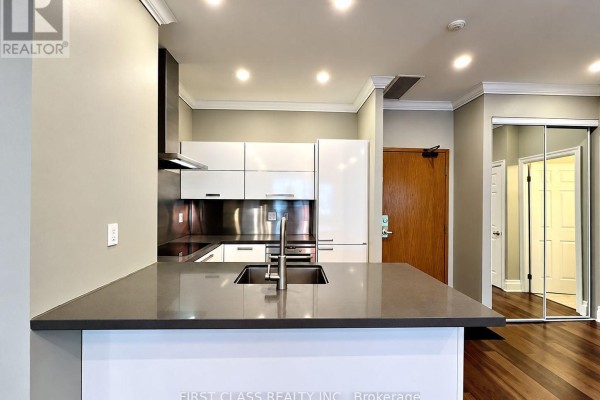 Kitchen - 207 - 1231 Yonge Street, Toronto, ON M4T2T8 Photo 3