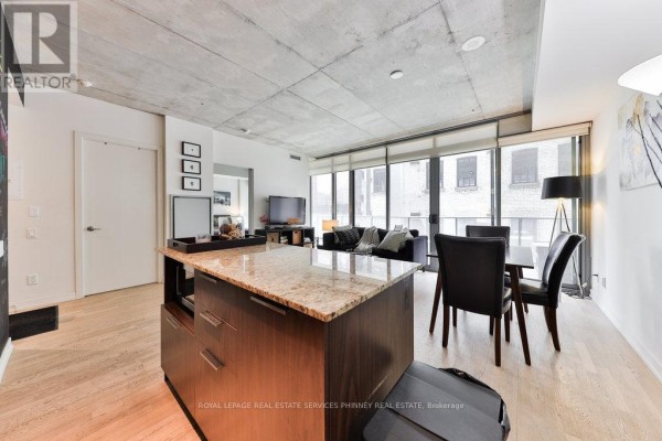 207 - 650 King Street W, Toronto, ON M5V0H6 Photo 5