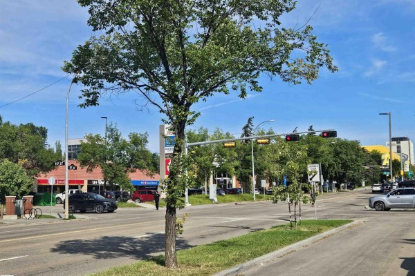#207 11710 87 Av Nw, Edmonton, AB, photo 2