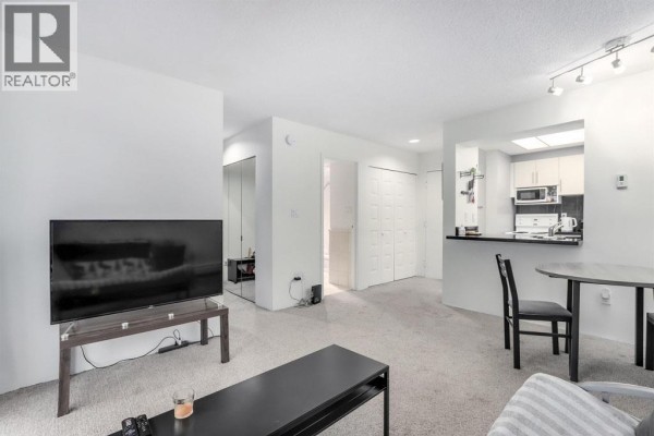 View of the living area, kitchen counter, and hallway leading to the bedroom and bathroom. - 207 1450 Laburnum Street, Vancouver