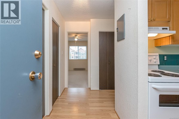 Apartment hallway view showing the front door, kitchen counter, and doorway to living area. - 207 380 Brae Rd, Duncan