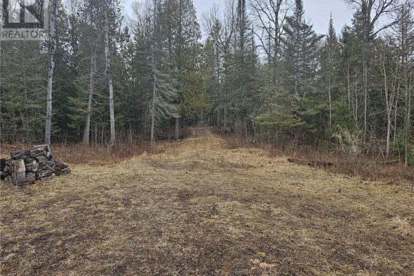 20751 Highway 6, Tehkummah, ON P0P1Z0 Photo 3
