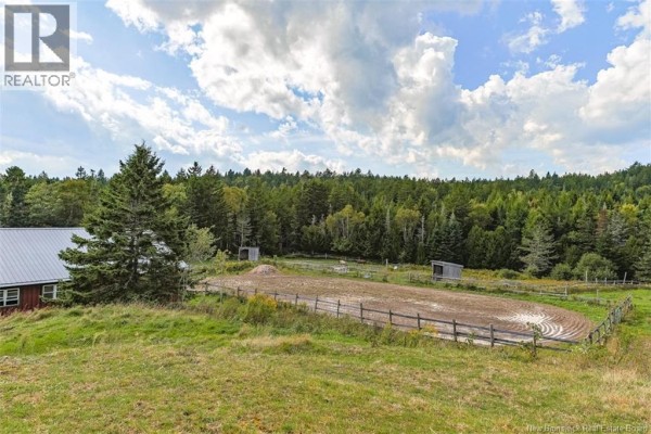 2078 Route 845, Bayswater, NB E5S1J6 Photo 5