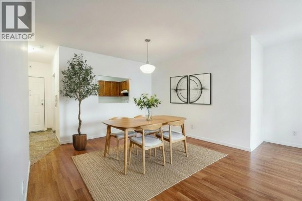 Dining area with wooden table and chairs, large potted plant, and artwork on white walls. - 208 4989 47 Avenue, Ladner