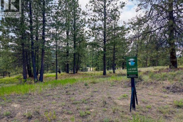 Aerial view of a lot with a red marker, surrounded by trees and a river valley. - 208 Corral Boulevard Lot# 30, Cranbrook