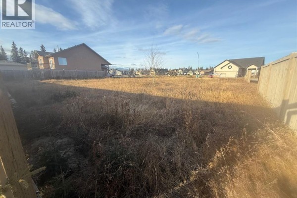 208 Trestle Place, Hinton, AB, photo 3