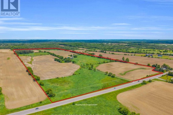 20893 Woodbine Avenue, East Gwillimbury, ON L0G1R0 Photo 2