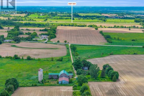 20893 Woodbine Avenue, East Gwillimbury, ON L0G1R0 Photo 4