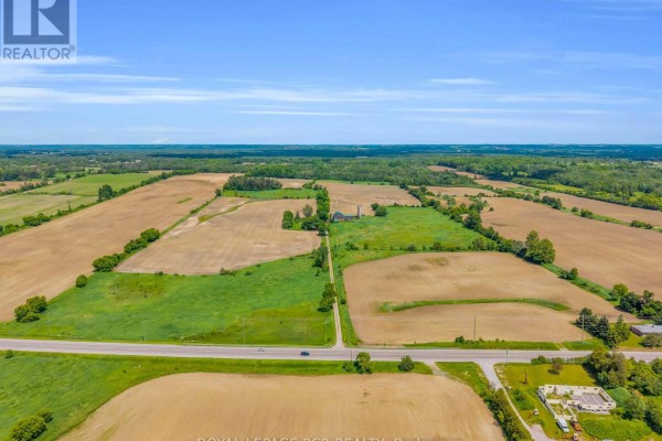 20893 Woodbine Avenue, East Gwillimbury, ON L0G1R0 Photo 5