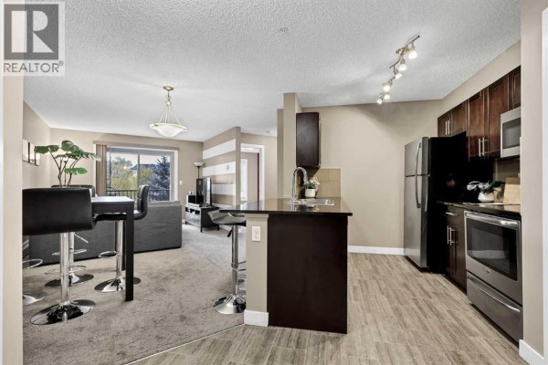 209, 15 Saddlestone Way Ne, Calgary, AB, photo 3