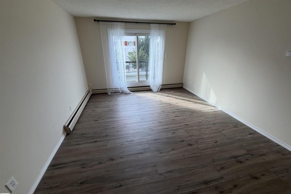 Den - #209 11429 124 St Nw, Edmonton, AB T5M0K4 Photo 4