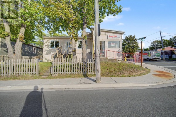 209 Empire Avenue, St  John S, NL, photo 2