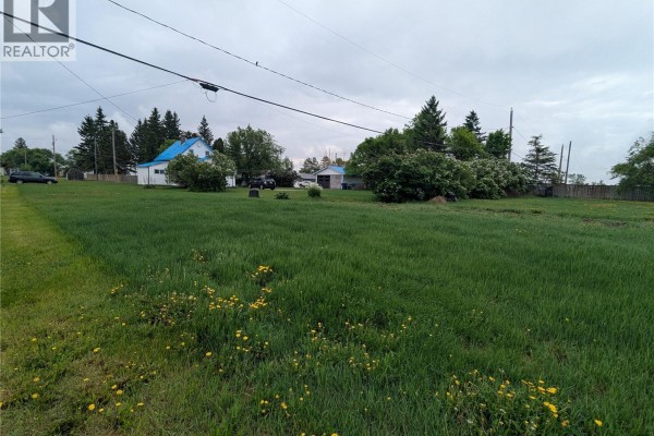 209 Lerew Street, Vonda, SK S0K4N0 Photo 4