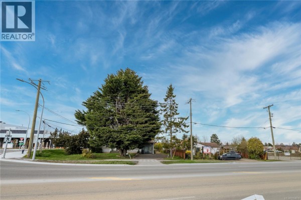 Backyard view of a lot with a trampoline, basketball hoop, and overgrown grass. - 2090 Beacon Ave W, Sidney