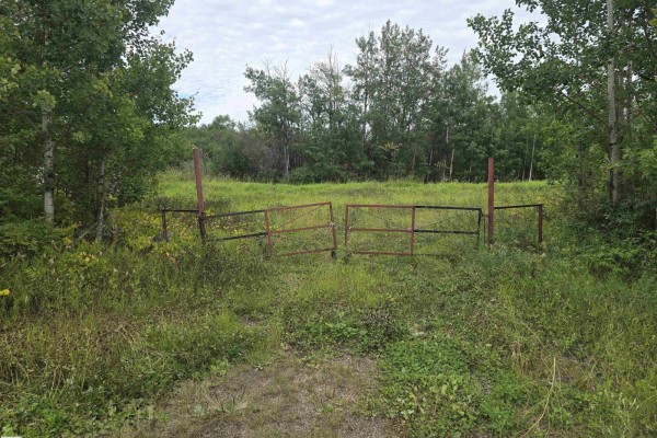 21-55022 Lac Ste. Anne Trail, Rural Lac Ste  Anne County, AB T0E1A0 Photo 3