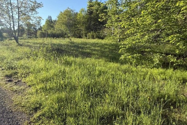 21 Acres Jimtown Road, Antigonish Harbour, N.s., Antigonish Harbour, NS B2G2L2 Photo 2