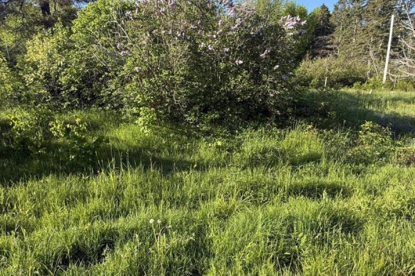 21 Acres Jimtown Road, Antigonish Harbour, N.s., Antigonish Harbour, NS B2G2L2 Photo 3