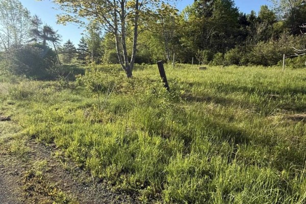 21 Acres Jimtown Road, Antigonish Harbour, N.s., Antigonish Harbour, NS B2G2L2 Photo 5