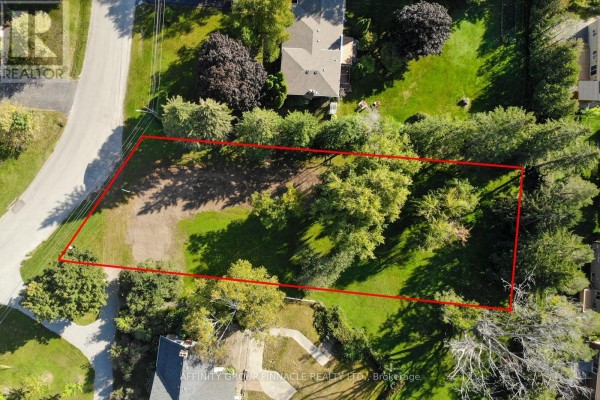 21 David Drive, Kawartha Lakes, ON K9V5G7 Photo 4