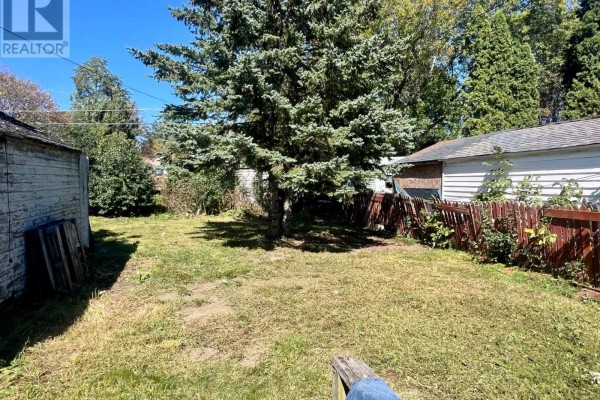 A grassy backyard with a large evergreen tree and a rustic wooden fence. - 21 First Avenue, Kingston
