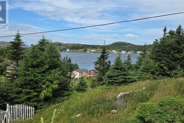 21 Main Street, Herring Neck, NL A0G2R0 Photo 5