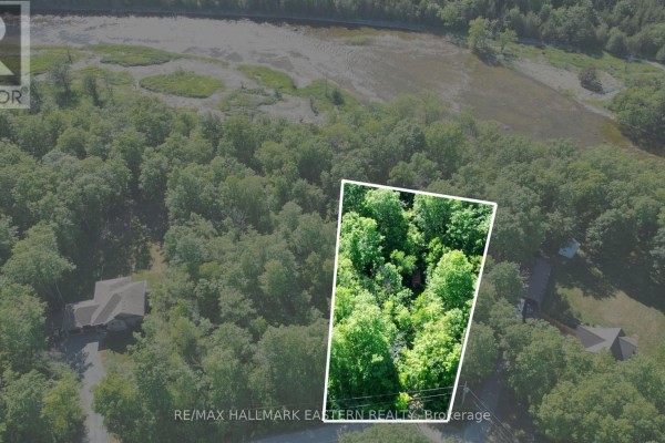 21 Riverside Drive, Trent Hills, ON, photo 2
