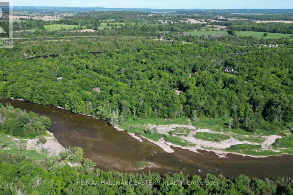 21 Riverside Drive, Trent Hills, ON, photo 3