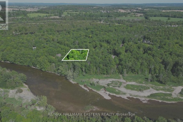 21 Riverside Drive, Trent Hills, ON K0L1L0 Photo 4