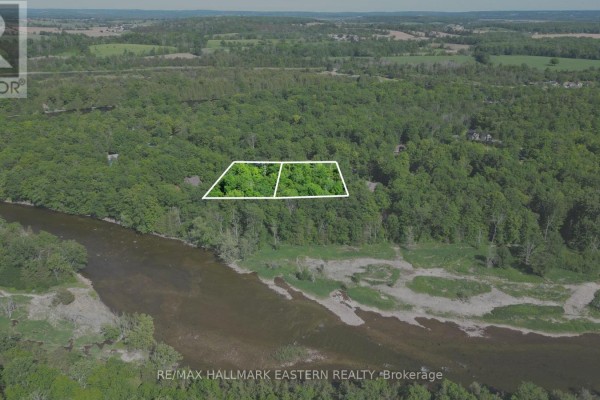 21 Riverside Drive, Trent Hills, ON K0L1L0 Photo 5