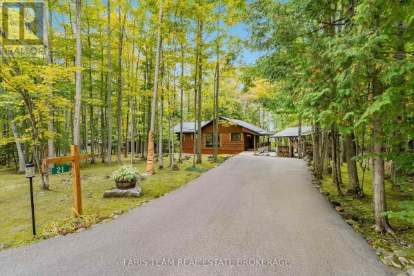 Long asphalt driveway leads to a small wooden cottage surrounded by mature trees. - 21 Slalom Drive, Oro Medonte