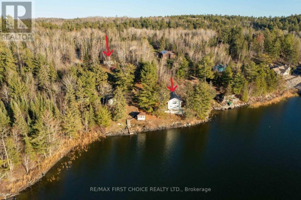 Aerial view of the shoreline with multiple buildings nestled among trees, indicating a serene environment. - 21 Tinker's Road, Sioux Narrows Nestor Falls